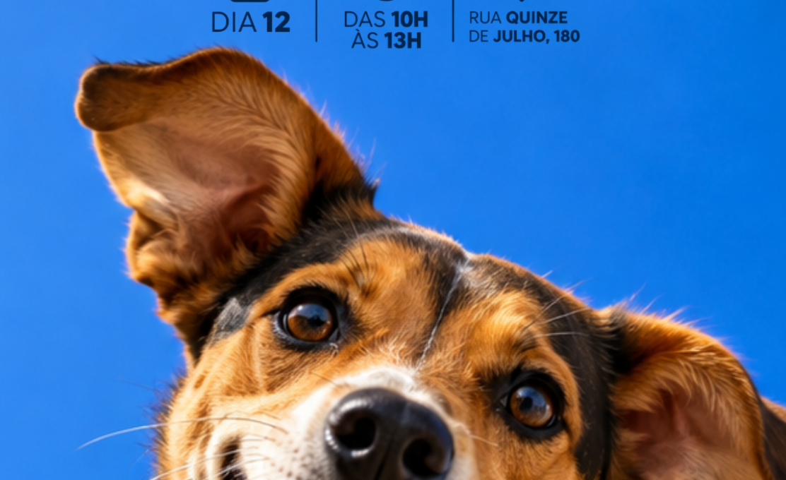 Prefeitura realizará Feira de Adoção de Animais em parceria com Unicentro