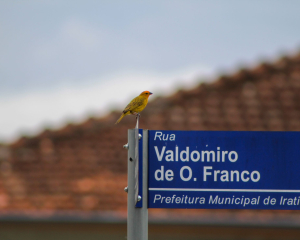 3o-lugar-atuais-08-01-luanda-abraao-de-carvalho-tardebucolica.jpg