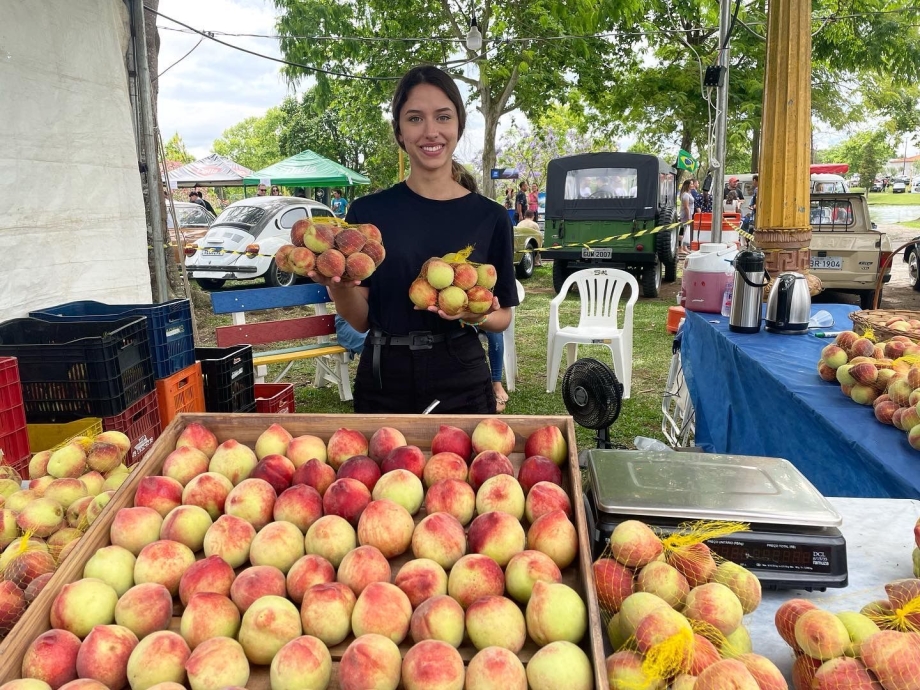 Festa do Pêssego supera expectativas e venda de frutas chega a 15 toneladas