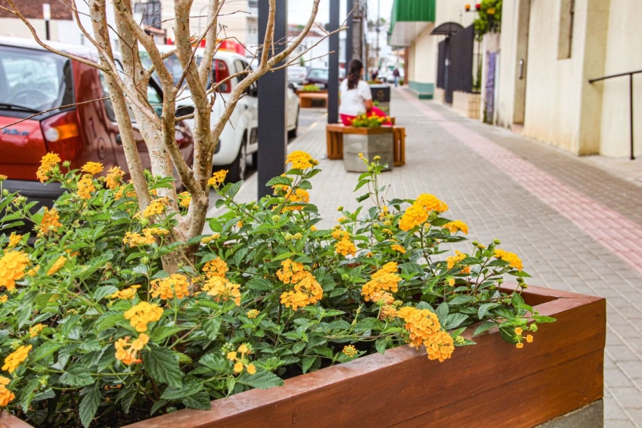 Obra de revitalização do Centro de Irati é retomada