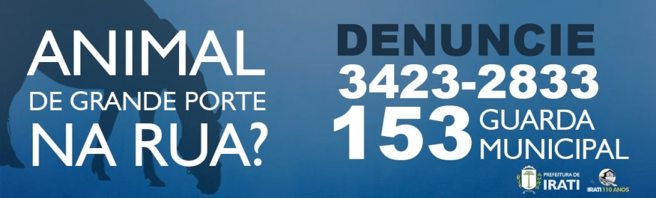 Apreensão de animais pode ser solicitada pelo telefone 153