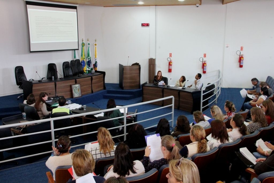 Audiência Pública apresenta andamento do Plano Municipal de Educação em Irati