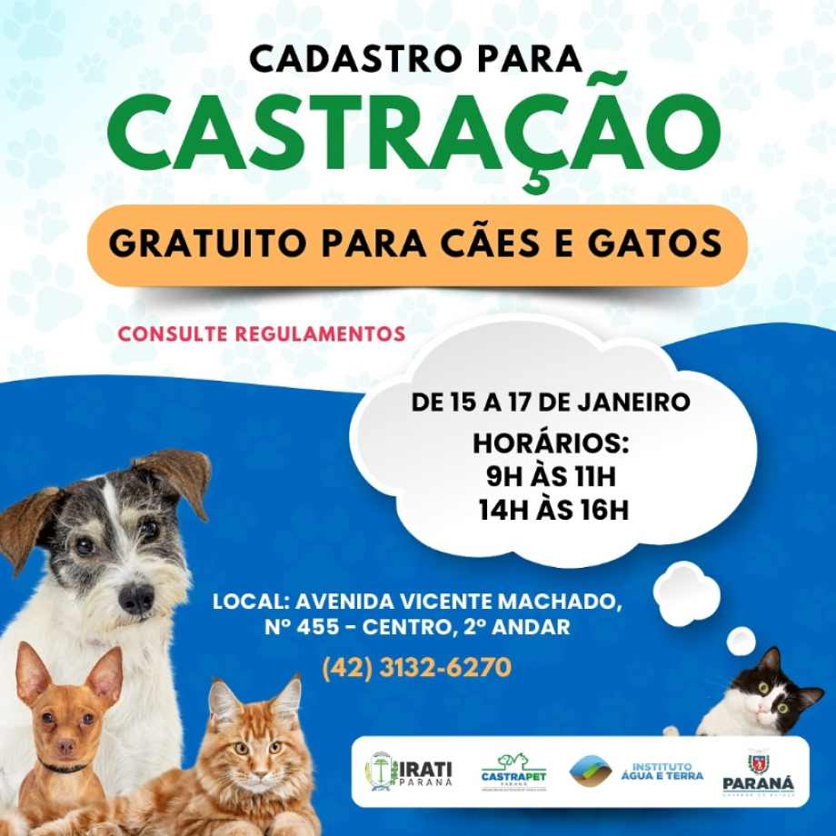 Castrapet abre inscrições para castração de cães e gatos em Irati