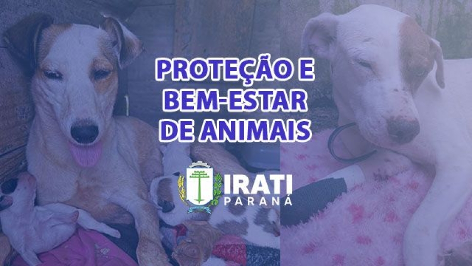 Defesa Animal divulga balanço de ações de janeiro