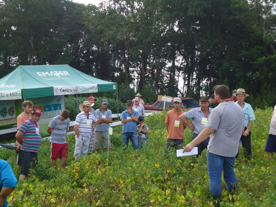 Agricultores iratienses têm dia de campo do projeto Centro-Sul de feijão e milho