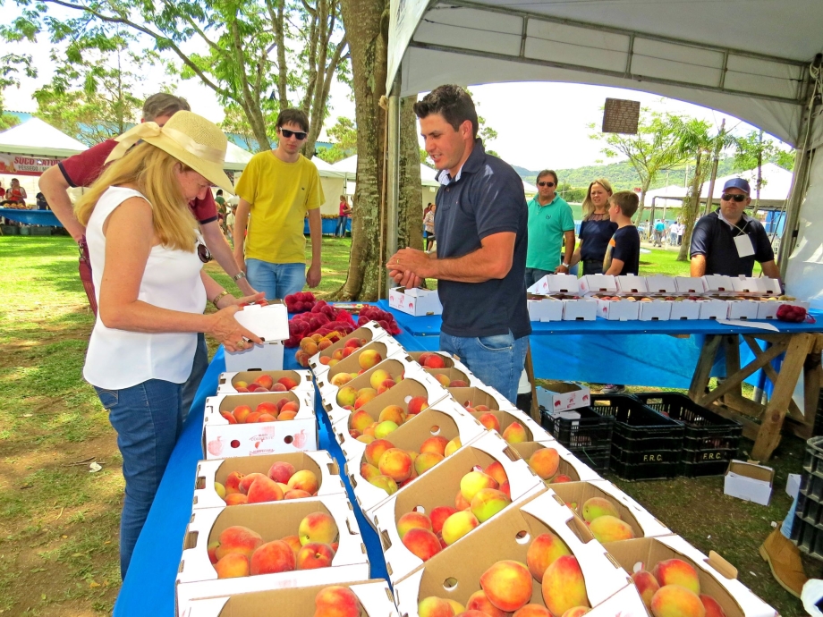 Festa do Pêssego 2018 terá 20 t do fruto