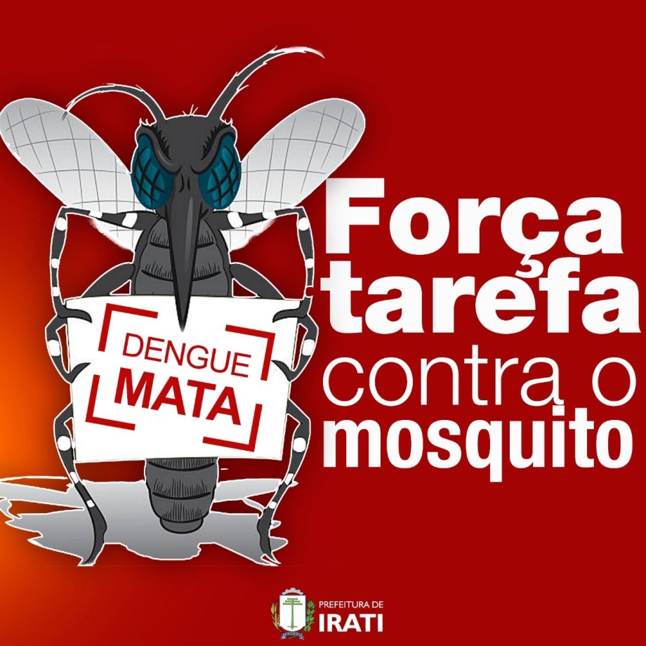 Força tarefa contra a dengue tem nova etapa a partir de hoje