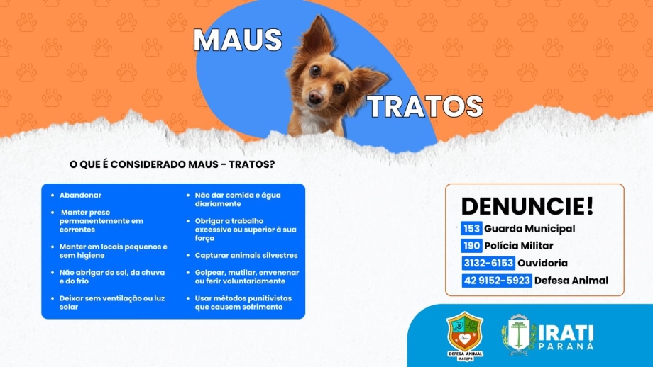 Prefeitura de Irati lança campanha de combate aos maus-tratos contra animais