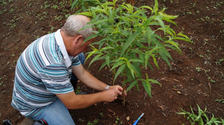 Agrovila: Irati com novas perspectivas no campo