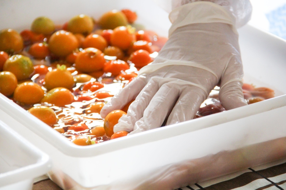Agricultores iratienses estão conhecendo o Projeto Guabiroba