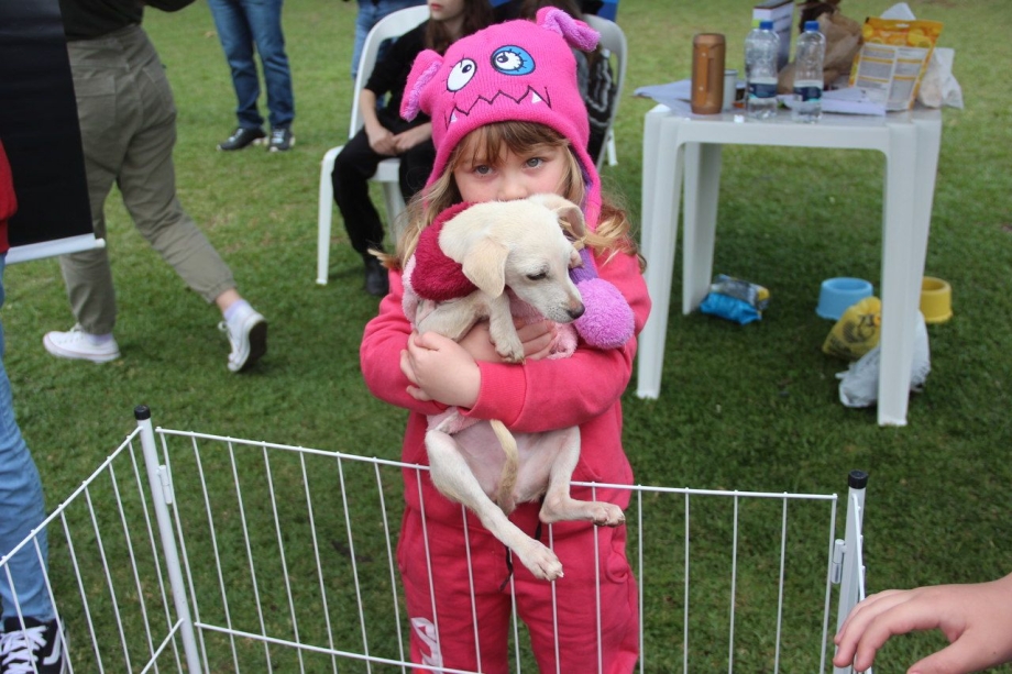 1ª edição da Feira de Adoção de Pets foi um sucesso