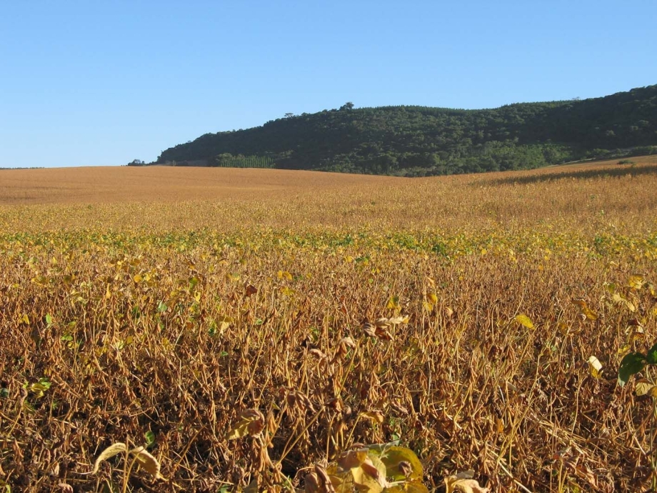 1.500 notas de Produtor Rural 2016 ainda não foram recolhidas