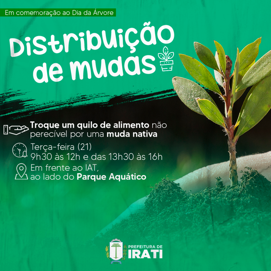 No Dia da Árvore haverá distribuição de mudas em Irati 