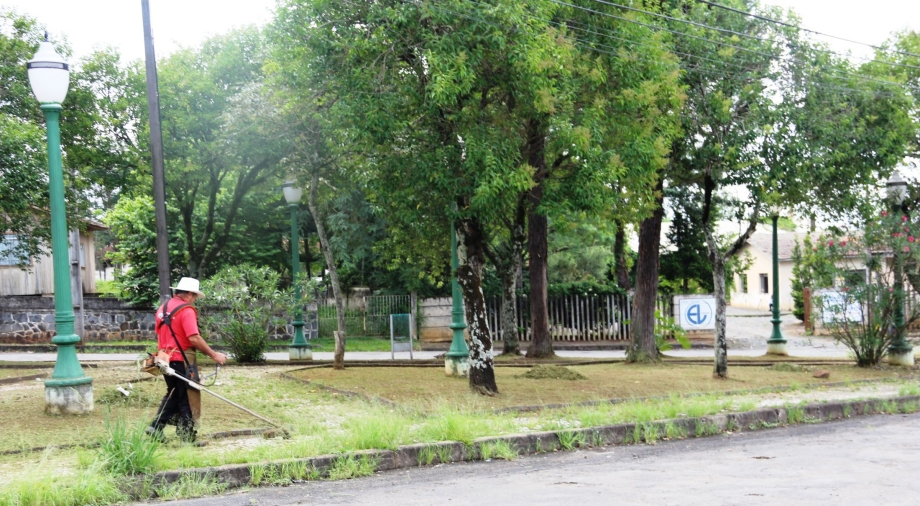 Você Sabia? Meio Ambiente