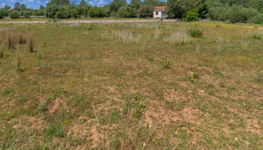 Prefeitura de Irati fiscaliza limpeza de terrenos particulares