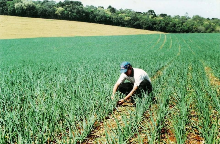 Prestação de Contas para Produtores Rurais
