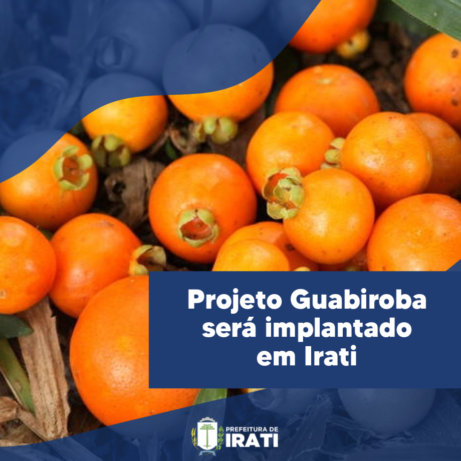 Projeto Guabiroba será implantado em Irati
