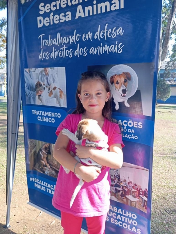 22 pets ganham novos tutores através de Feira de Adoção